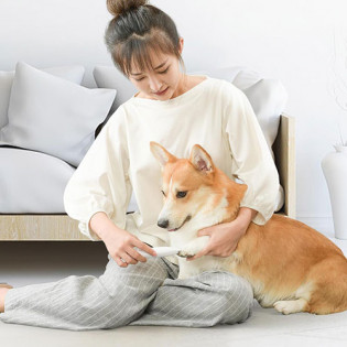 Pawbby MG-FP001 Pet Hair Trimmer